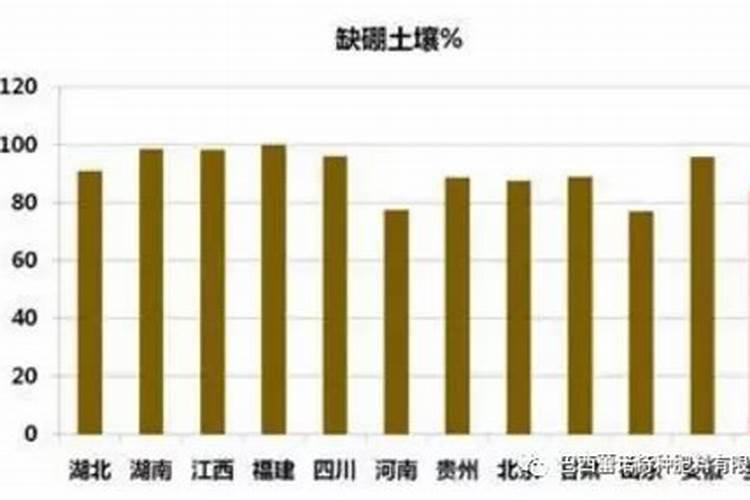 冬枣如何施肥才能高产