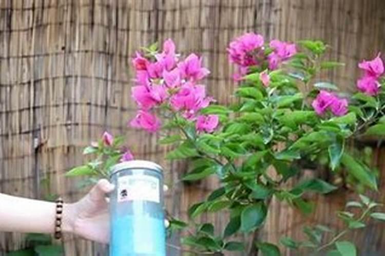 棉花花铃期施肥很重要,棉花花铃期怎么施肥？