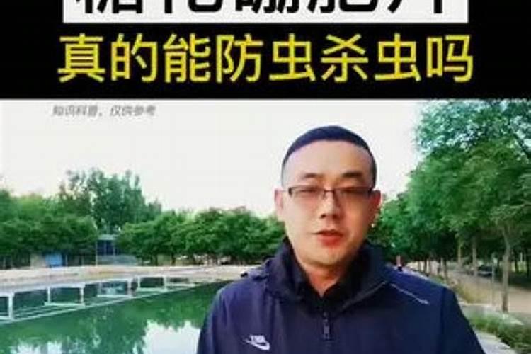 大棚蔬菜应该用什么肥料？该怎么做？