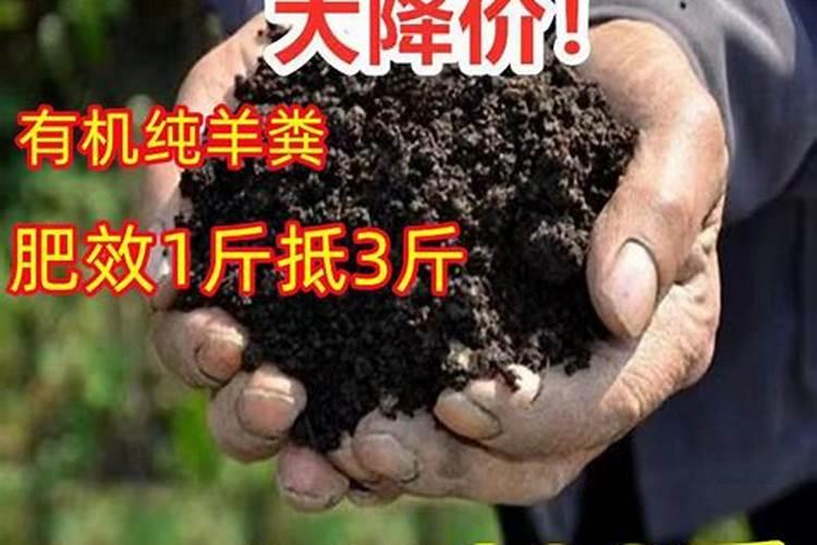 西瓜水溶肥起名字叫什么好听