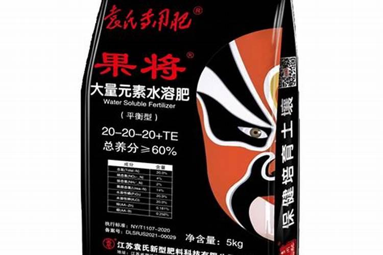 鸿运当头叶子发黄怎么办