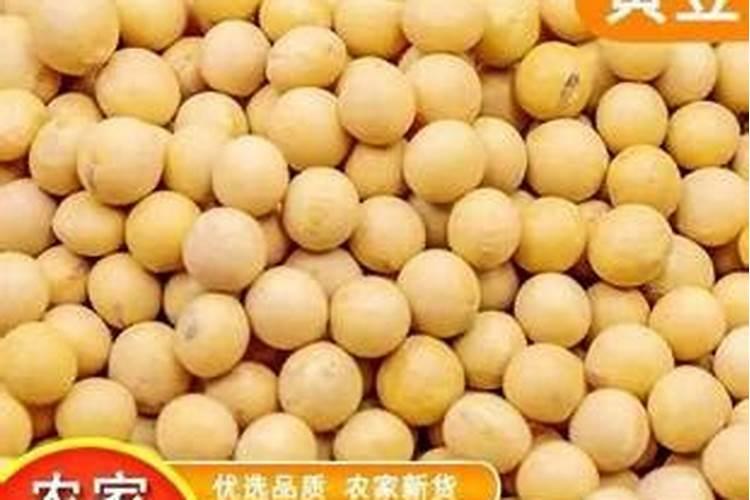 大豆黄叶病用什么药效果好
