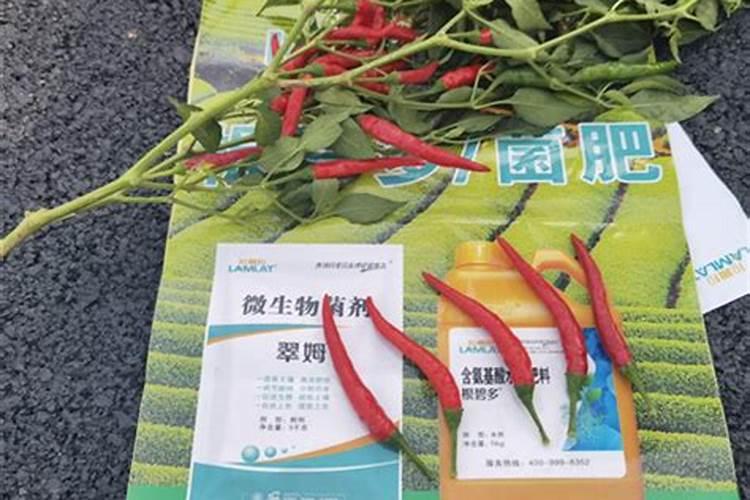 水稻灌浆后期,可以用磷酸二氢钾吗