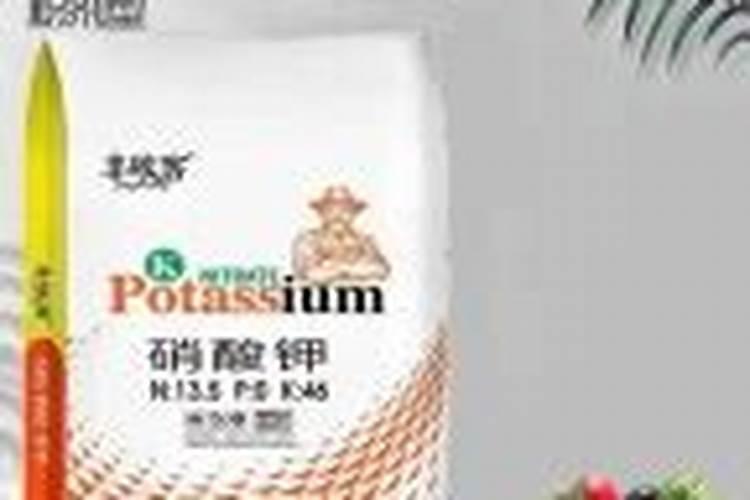 大棚种黄瓜菜籽饼和什么肥料铺底最好