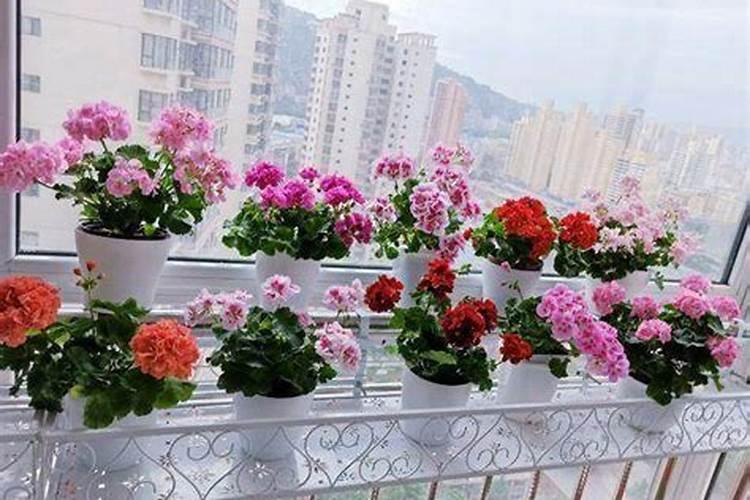 磷肥一亩地施多少