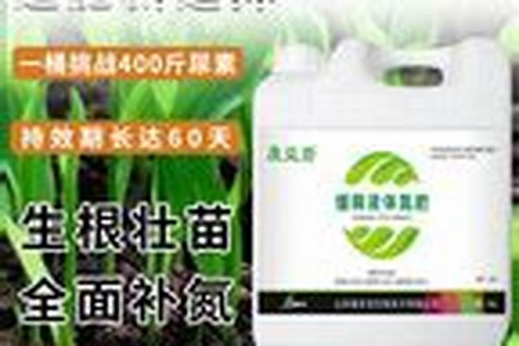 黄麦岭复合肥价格表