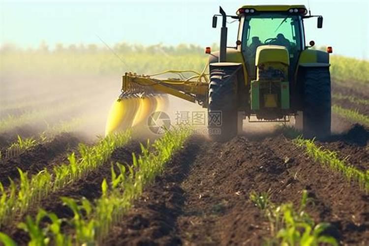 花生追施叶面肥好吗？叶面肥怎么用效果好？叶面肥多少钱一袋？