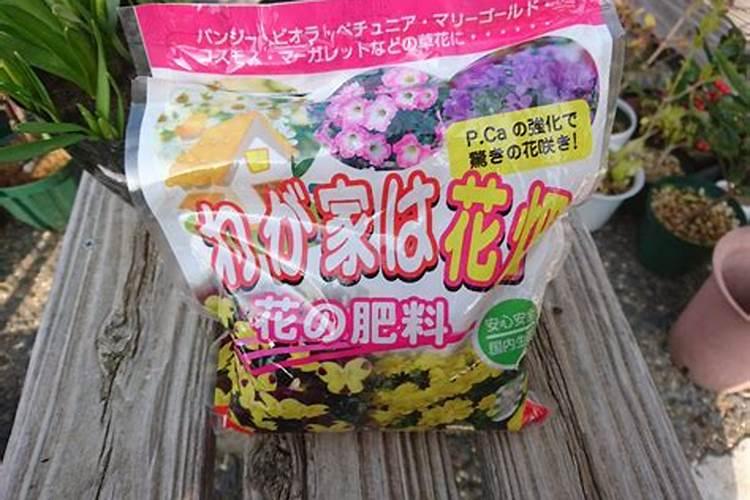 水仙花的叶子黄了咋回事？