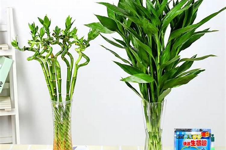 小麦在抽穗期间,可不可以浇水呢？