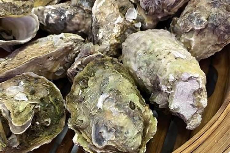 墨兰开花是什么肥