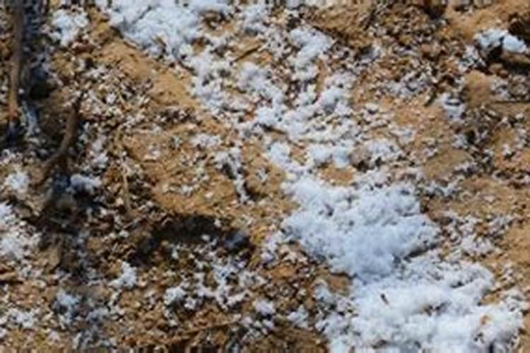 复合肥撒地里几天没下雨能失效吗