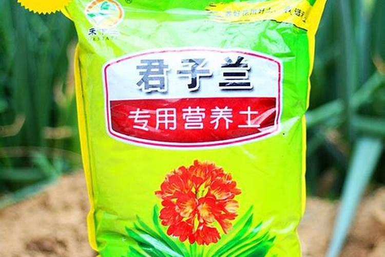 君子兰施什么肥最好