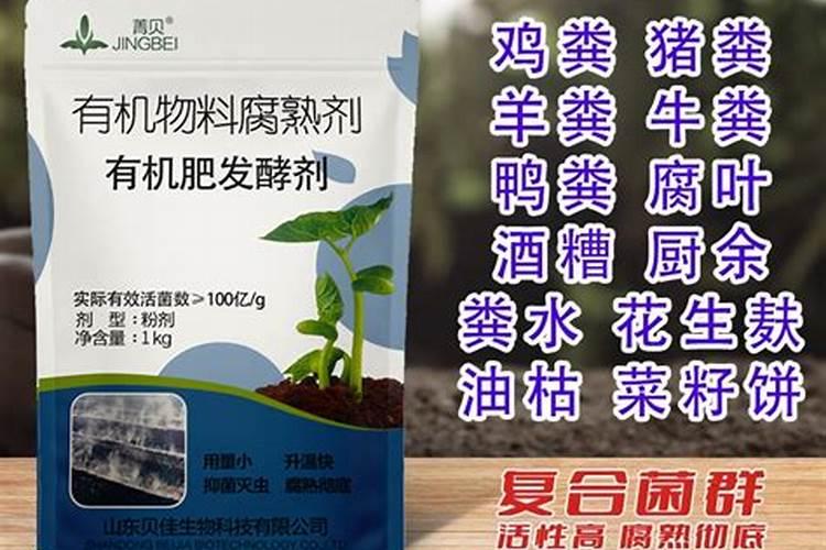 柑橘树用什么肥料好？