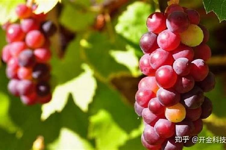 各种肥料的肥效期多长