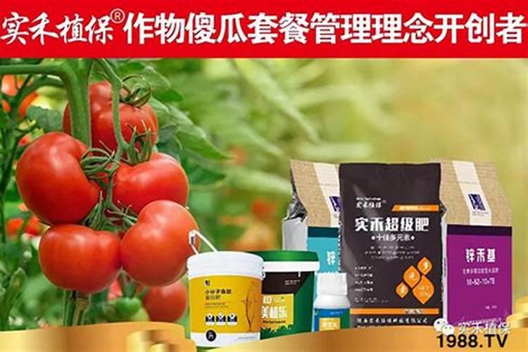 矿源黄腐酸钾在葡萄上什么时候用好？多久冲施一次促果增产