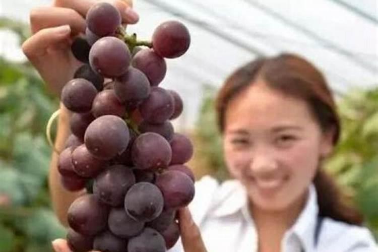 如何判断草莓要浇水