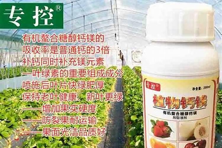 自制钾肥最好方法