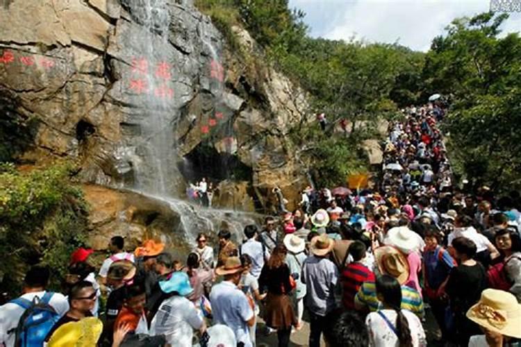 什么花用芝麻饼肥