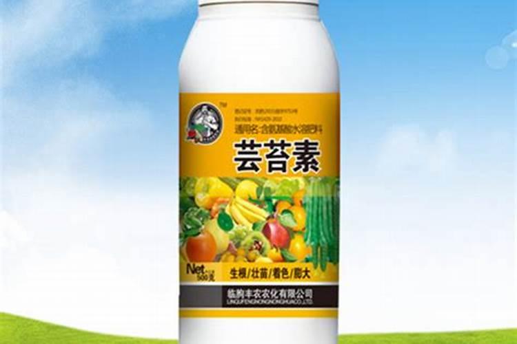 粉葛的种植方法与管理