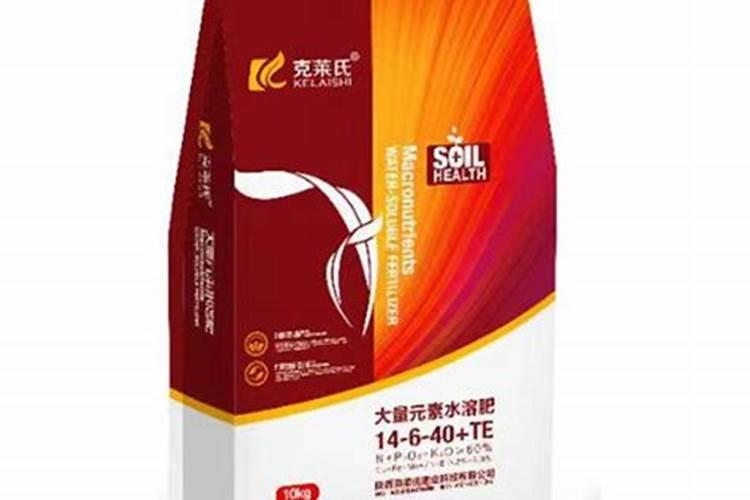 西葫芦的种植方法和管理方法