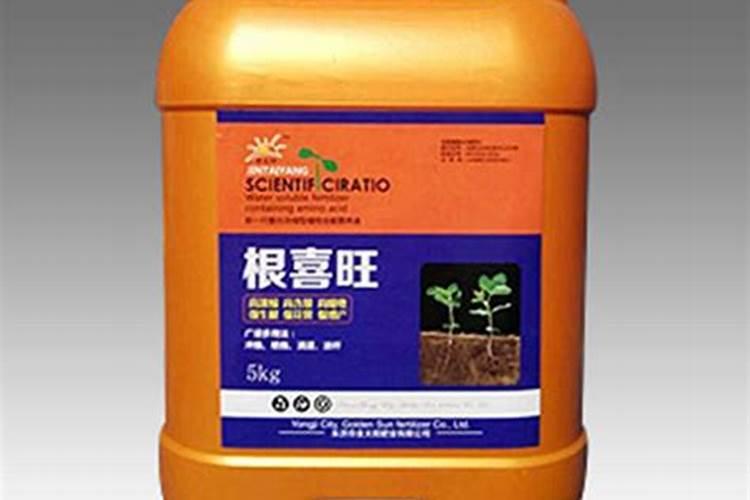 有一说一,当下JJC环境中,为什么奶花如此下水道？