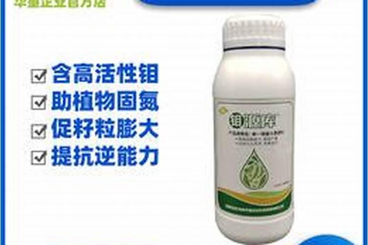 番茄挂果后的施肥方法