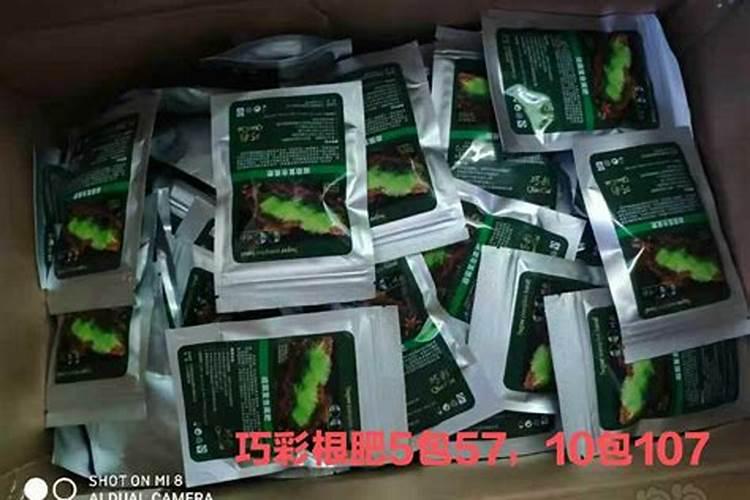 花生地第二年种什么好