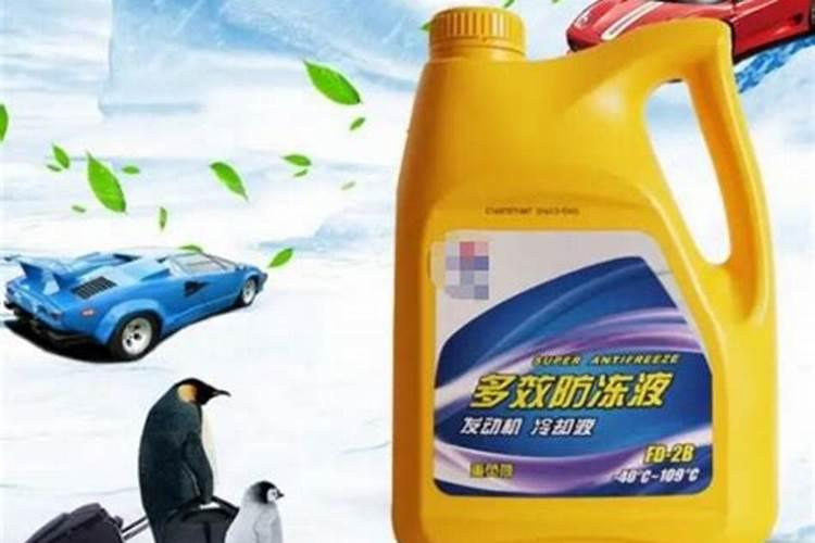 家里什么可以代替鱼食