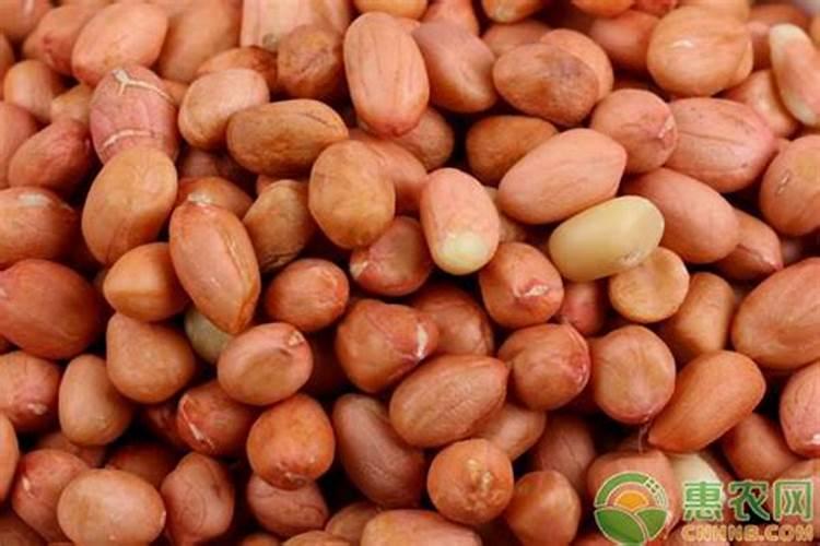花生开花期要施什么肥 花生开花期怎么施肥