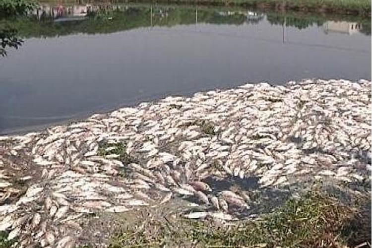 如何判断水养殖缺碳源