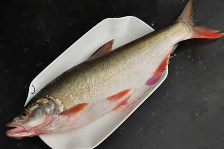 草莓苗缓苗期怎么浇水