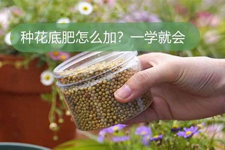 种花生用什么肥料最好高产？种花生用什么肥料做底肥？