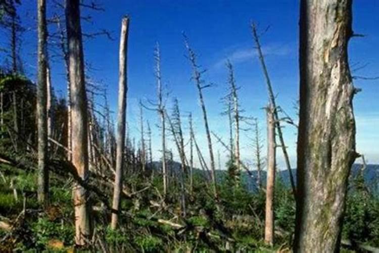 桃树膨大期专用增产叶面肥料？桃树结果期用哪种水溶肥效果好？