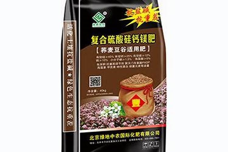 种植大白菜时有干烧心的现象,这是怎么回事？怎样才能有效预防呢？