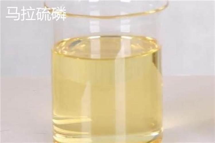 四月柿树怎么有效管理 除草杀虫追肥要点有什么