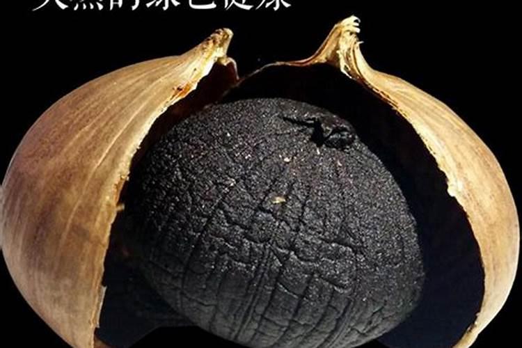 龟背竹多久浇一次水