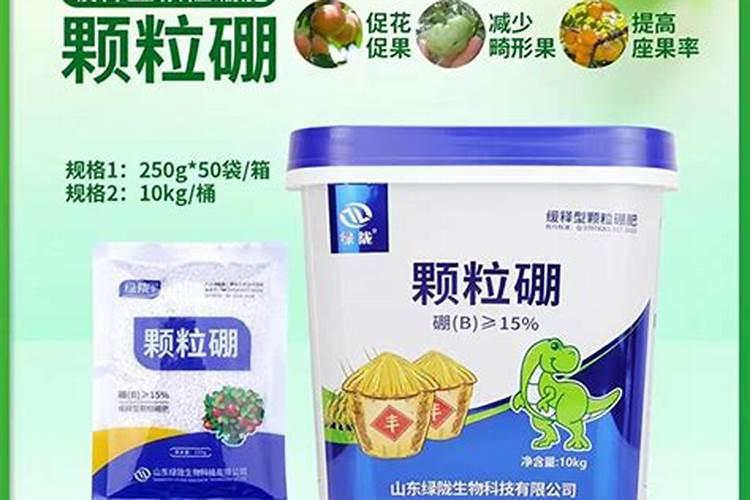 柑橘全年打药时间