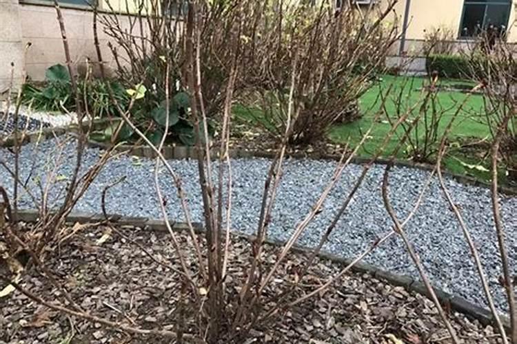 氮磷钾肥有哪些