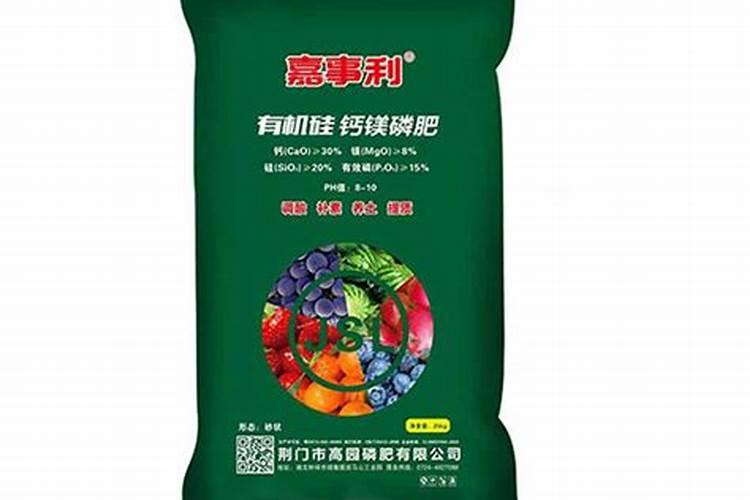 向日葵花籽怎么才饱满呢