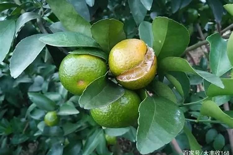 贵州农夫山泉桶装水代理商联系方式？