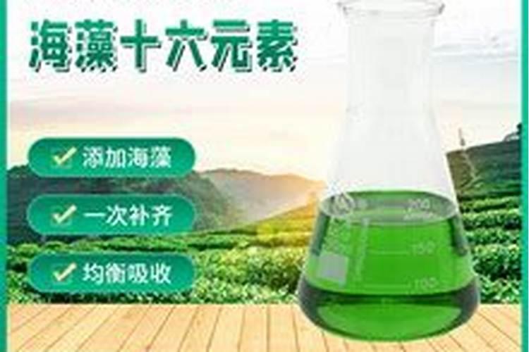 叶面肥十大名牌排名