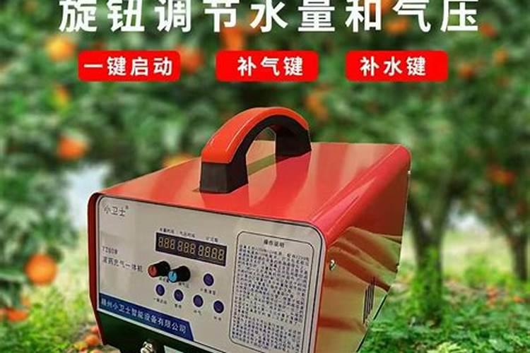 黄皮果树什么时候施肥最佳