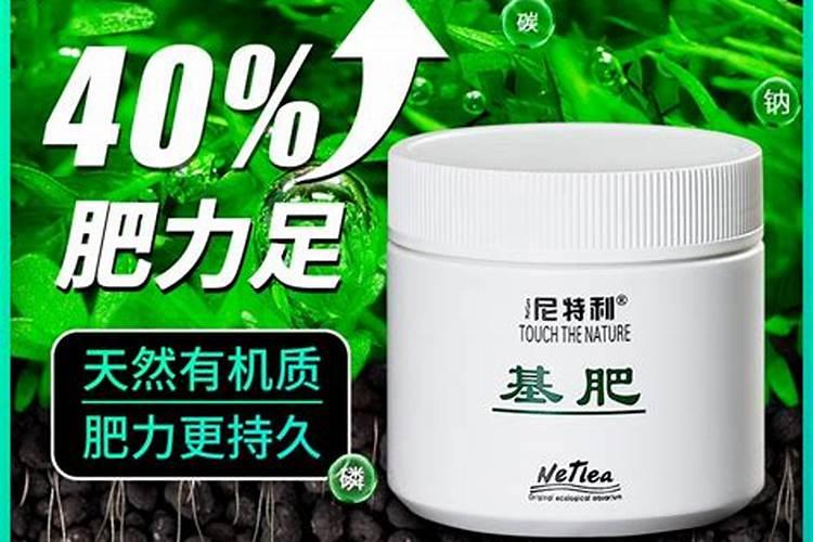 新手小白想知道草缸里的肥料怎么加比较好呢？