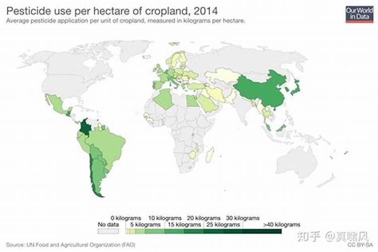 青岛市城阳区水果批发市场的地址