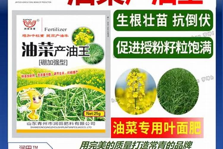 大棚兰花的养殖方法大棚兰花的养殖方法简单介绍