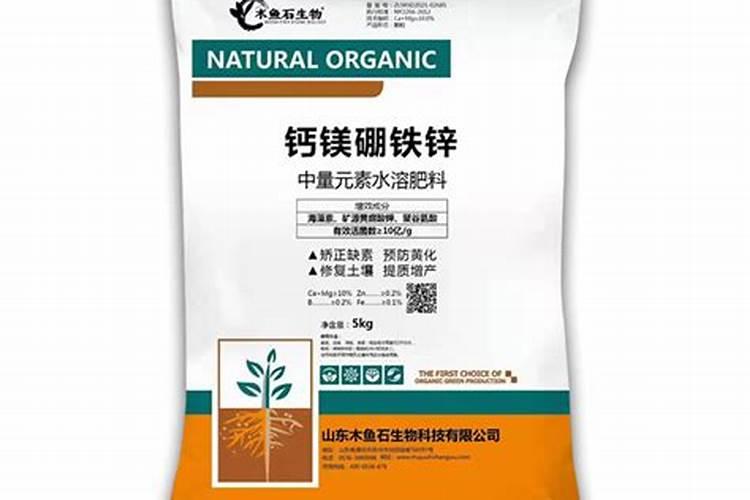 有谁知道玉兰的生长特性,越详细越好!