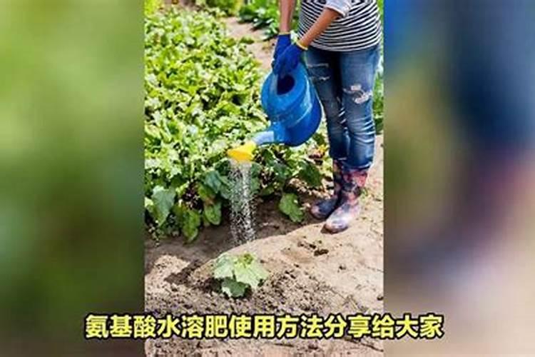 家中养花,浇水、施肥如何掌控,你知道吗？
