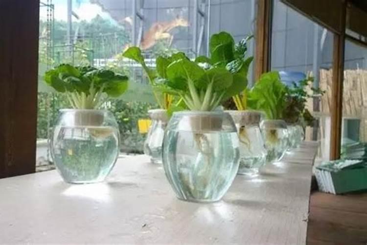 磷肥的正确使用方法