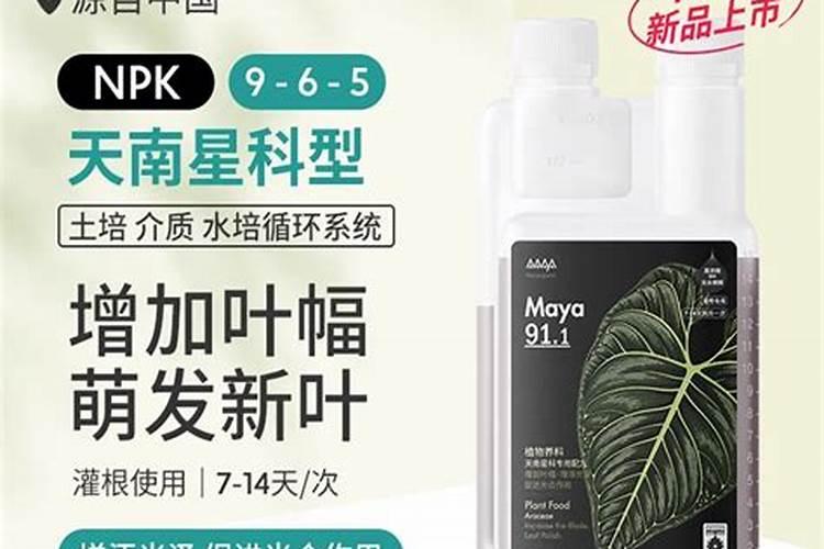 观叶植物用什么肥料最好