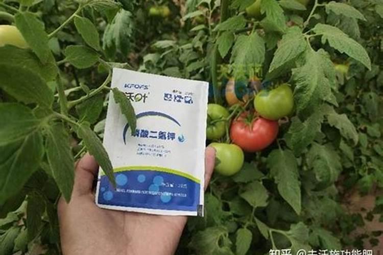 瓮福磷酸二氢钾好吗